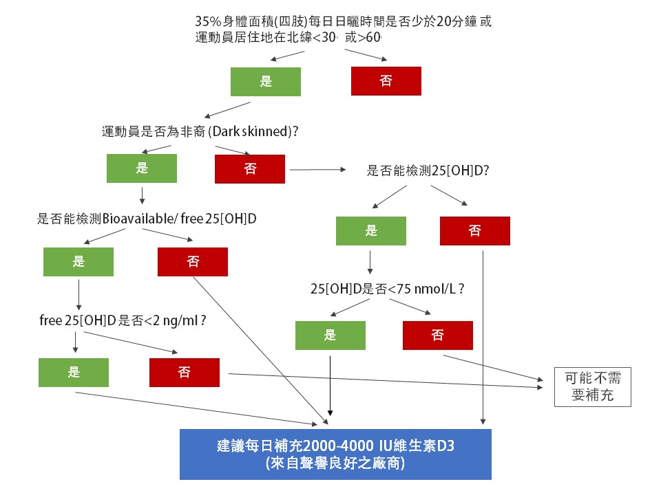 運動員是否需要攝取維生素D樹狀圖