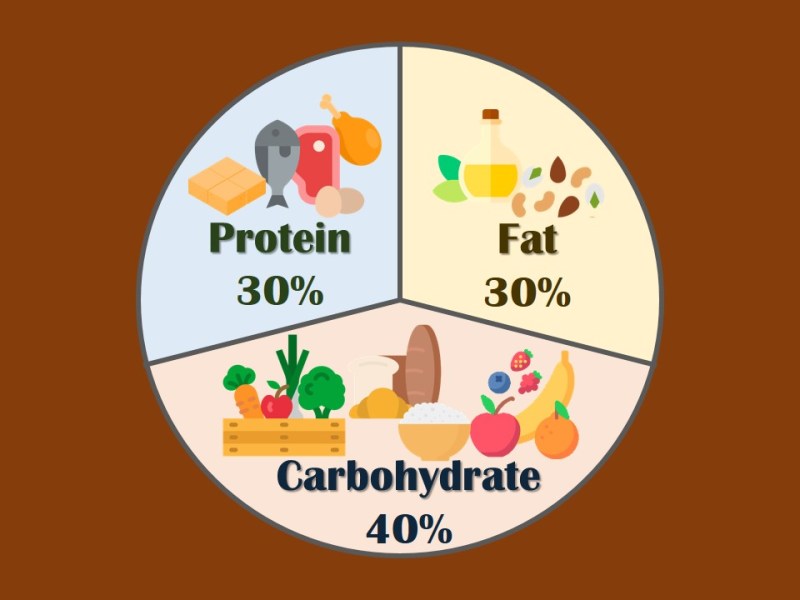 區域飲食 Zone diet