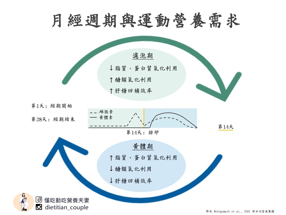 月經週期與運動營養需求