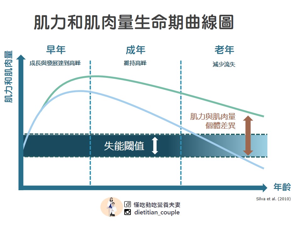 肌力和肌肉量生命曲線圖